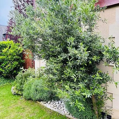 Le Sublime Olivier Normand, 3p Cosy Et Luxe Avec Jardin, Piscine & Tennis, Velos Lägenhet Deauville