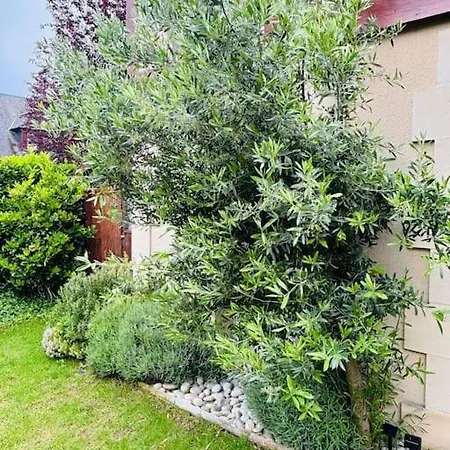 Apartment Le Sublime Olivier Normand, 3p Cosy Et Luxe Avec Jardin, Piscine & Tennis, Velos Deauville