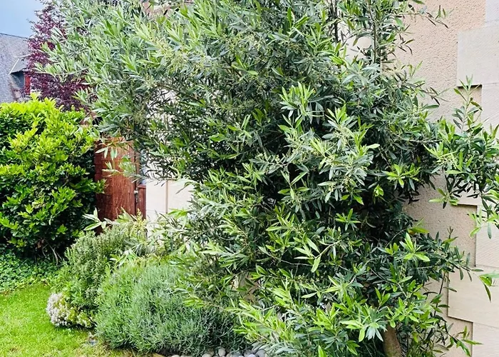 Le Sublime Olivier Normand, 3p Cosy Et Luxe Avec Jardin, Piscine&tennis, Vélos Appartamento Deauville