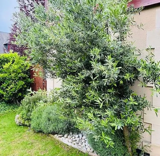 Appartamento Le Sublime Olivier Normand, 3p Cosy Et Luxe Avec Jardin, Piscine&tennis, Vélos Deauville